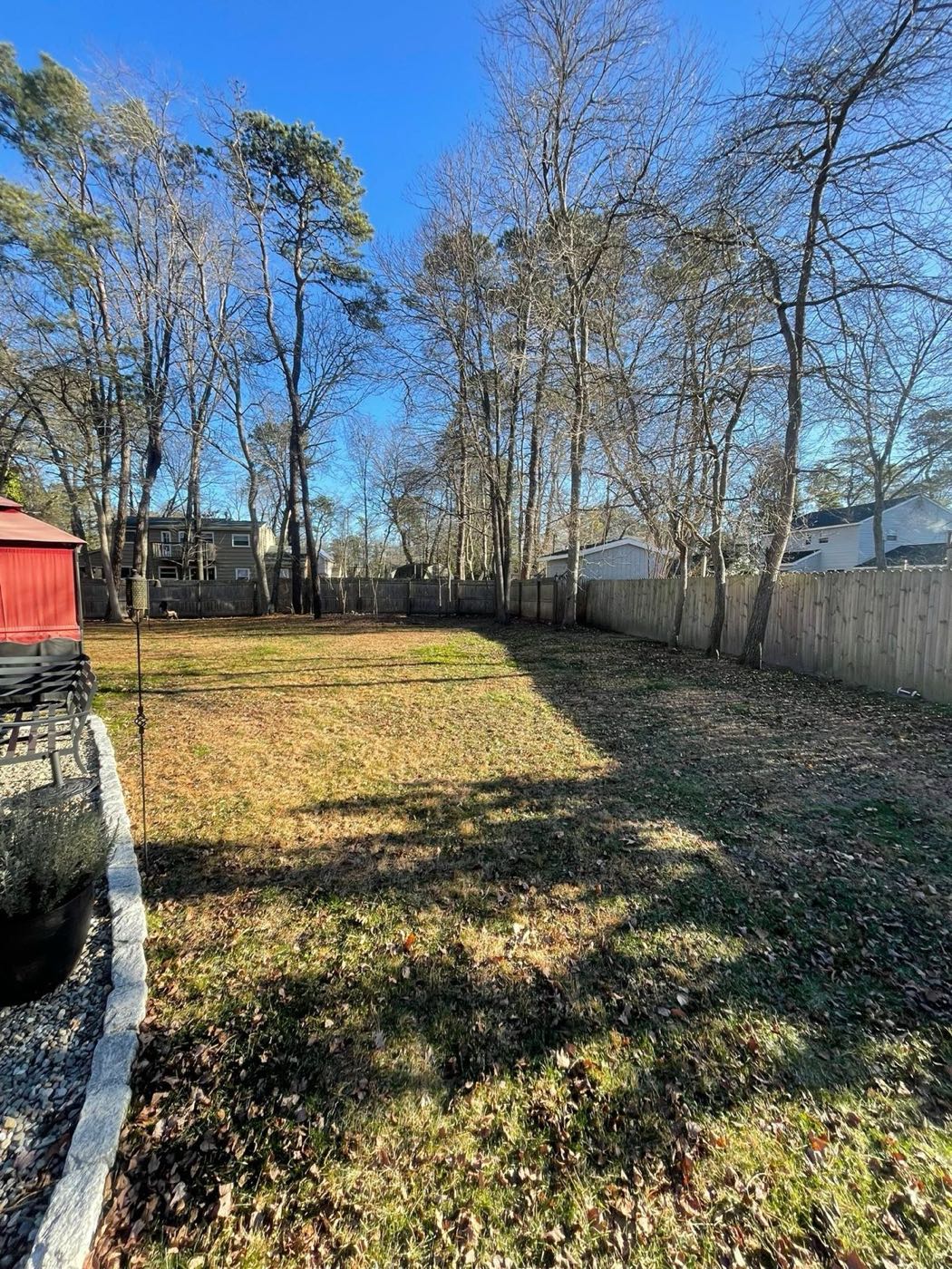 Backyard cleared of leaves for winter