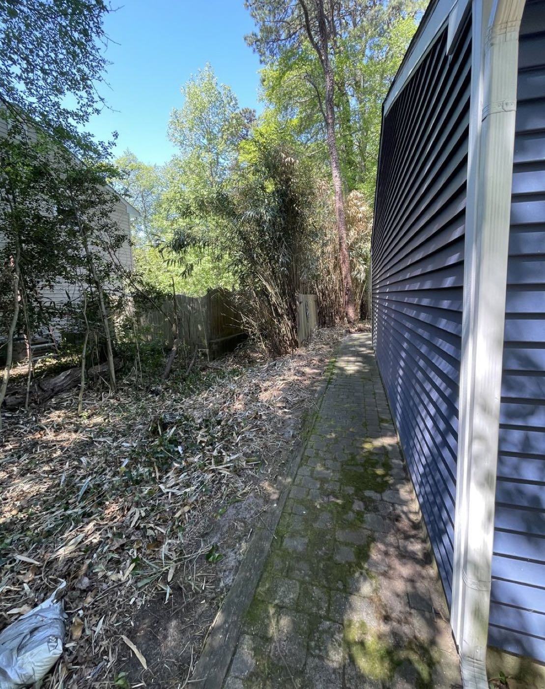 Bamboo along the side of a house, before and after removal