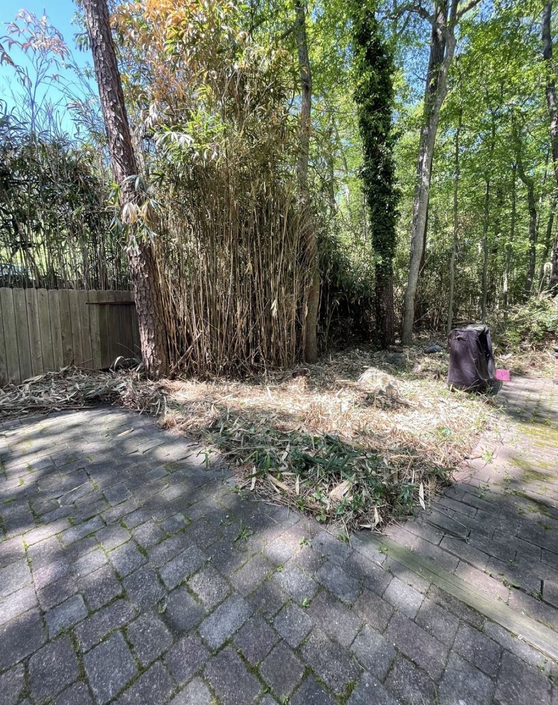 Bamboo around a patio, before and after removal