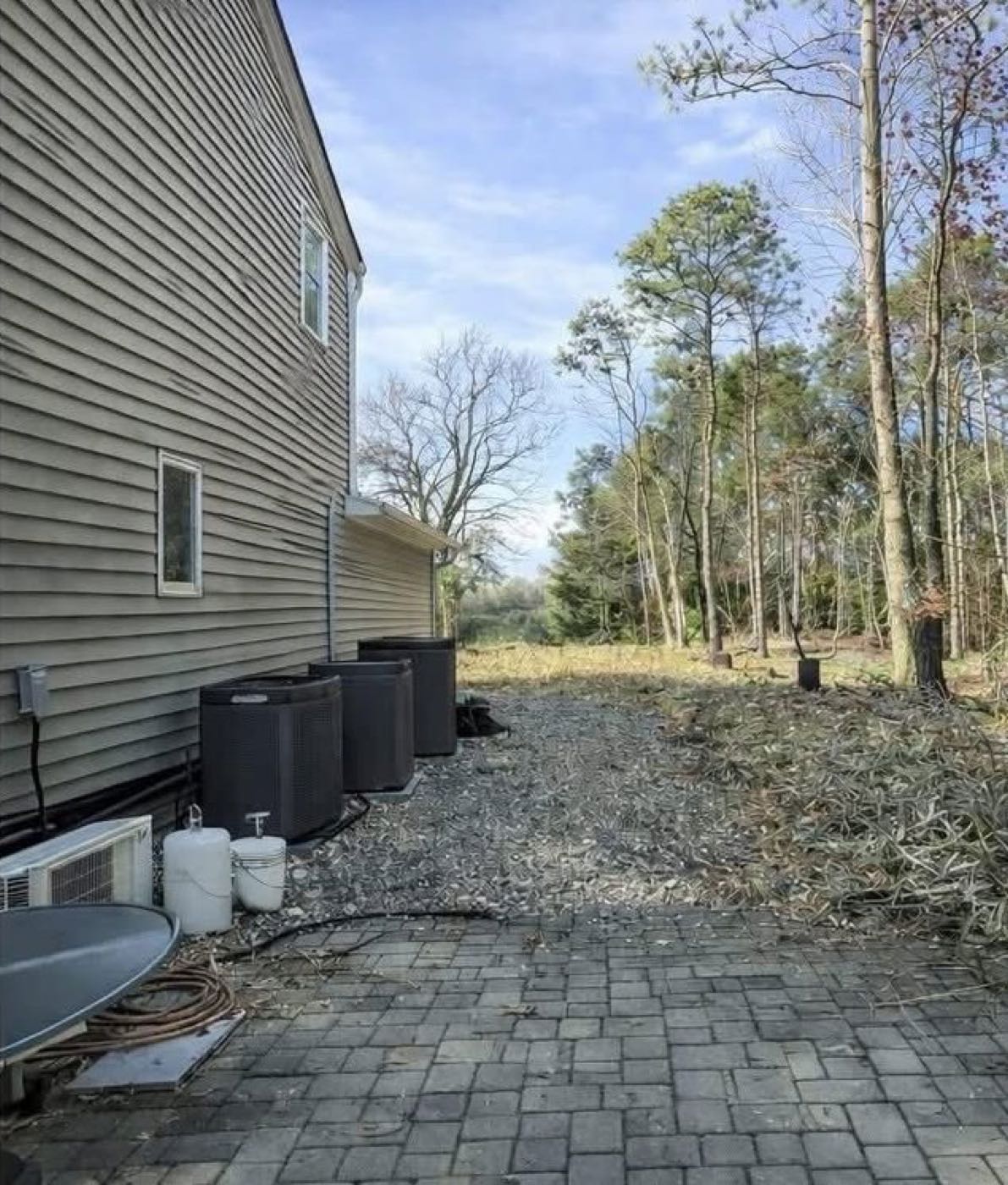 Bamboo along a side yard, before and after clearing