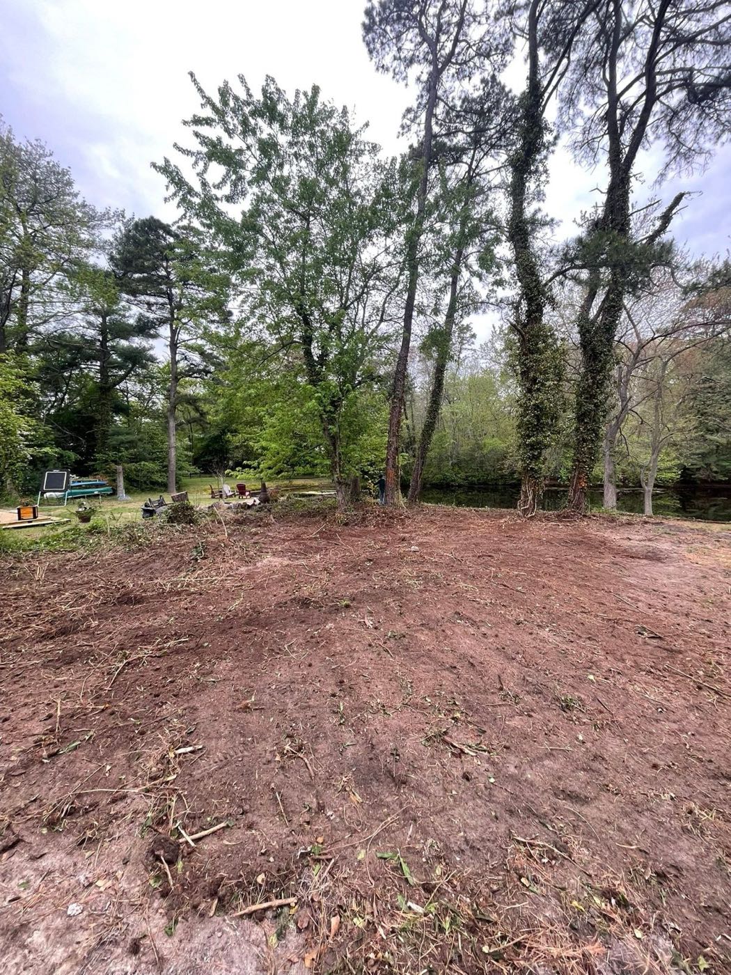 Cleared and graded ground after brush and overgrowth removal