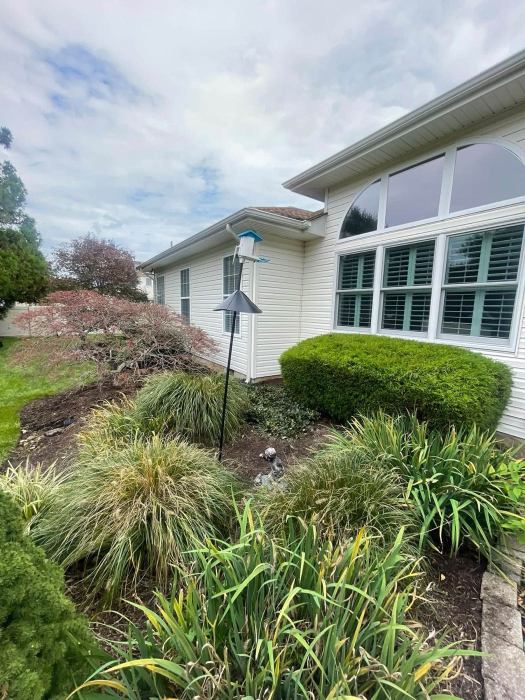 Planting bed with ornamental grasses and trimmed shrubs