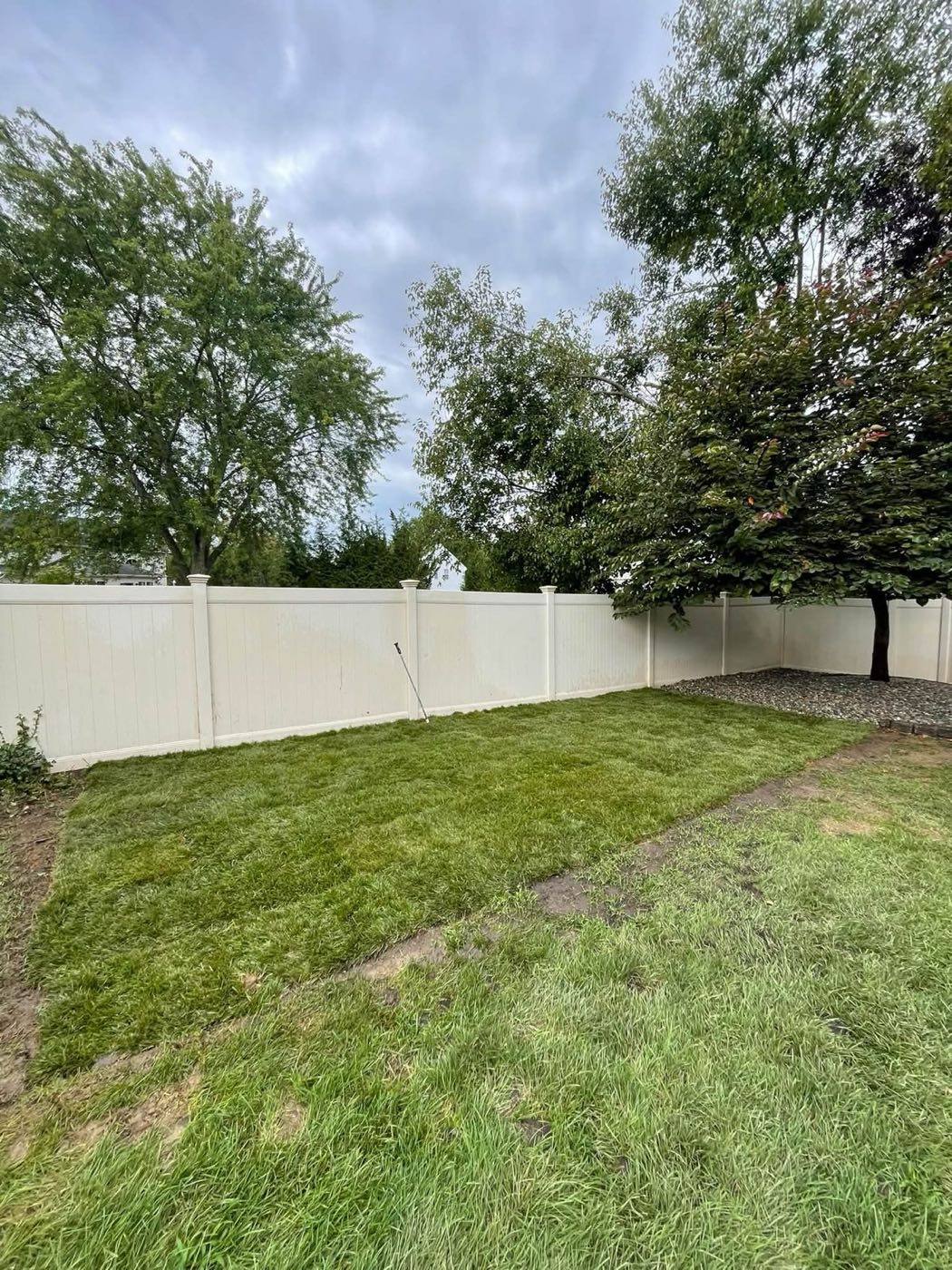 New sod laid along a backyard fence line