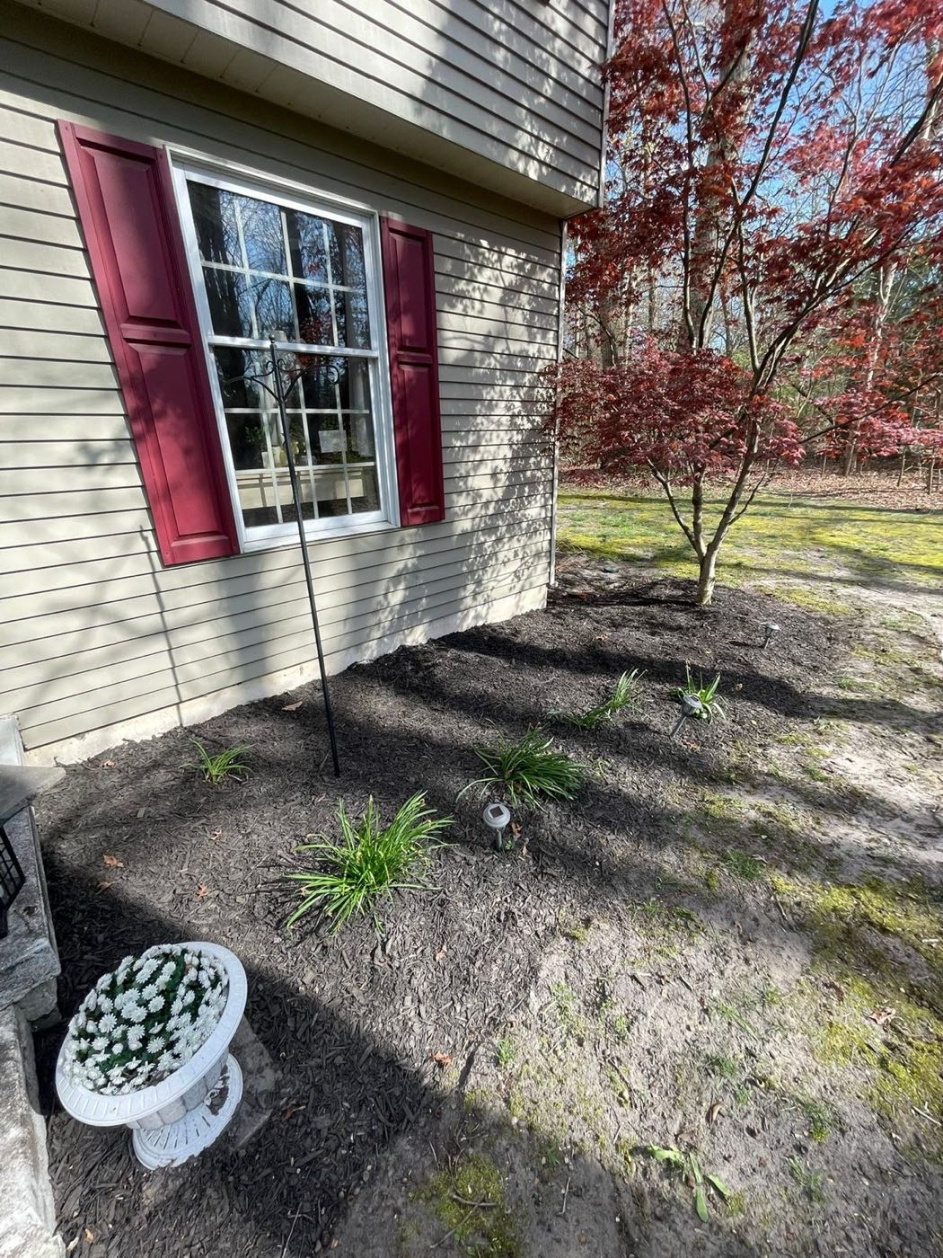 Reshaped bed with fresh mulch below a front window
