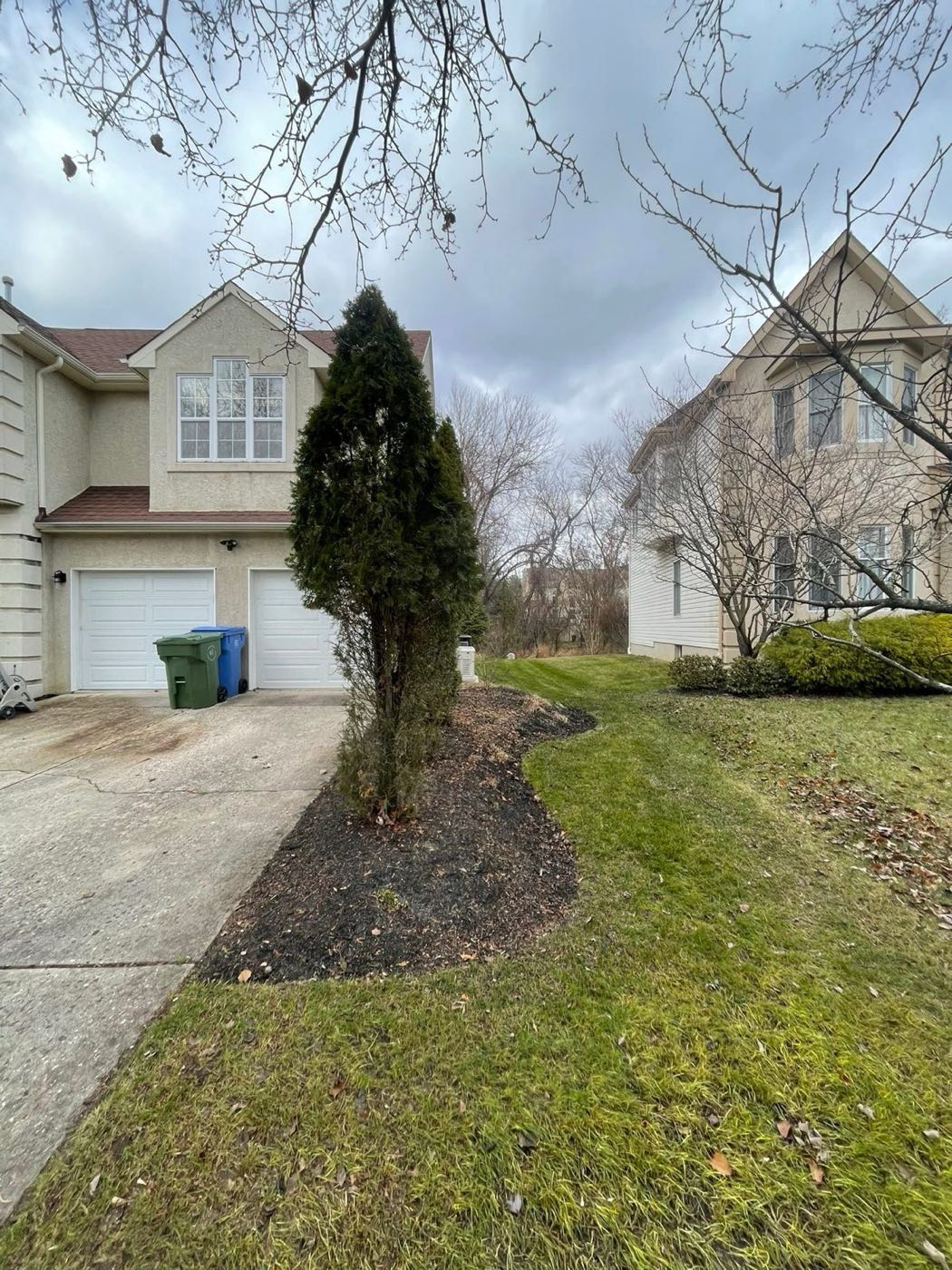 Side bed and lawn cleared of leaves beside a driveway