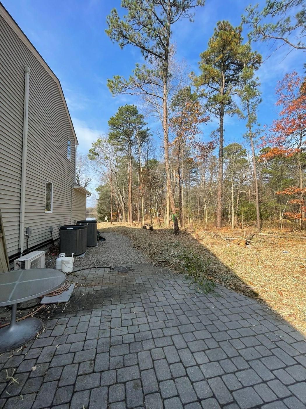 After: the same side yard with the bamboo cleared