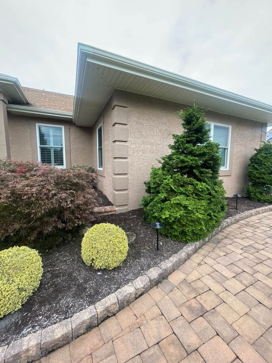 Trimmed shrubs and fresh mulch beside a paver walkway